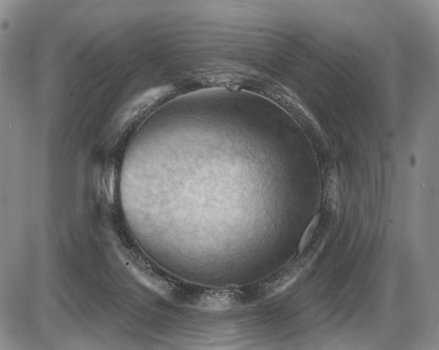 X0000087590076200704271318