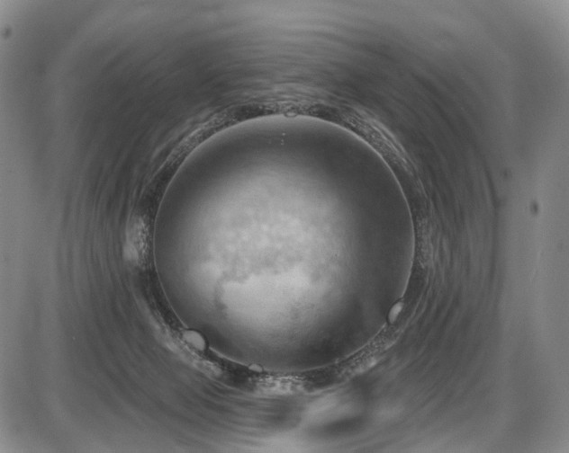 X0000087590077200704271318