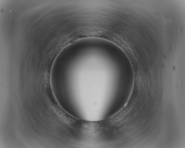 X0000087590079200704271318