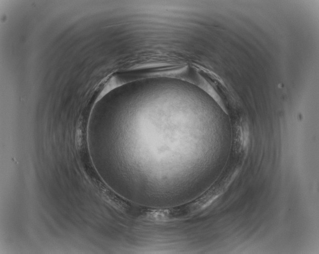 X0000087590080200704271318