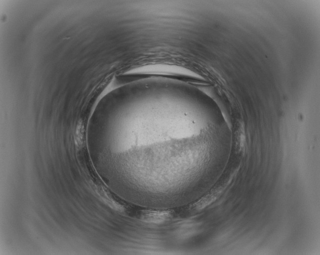 X0000087590081200704271318