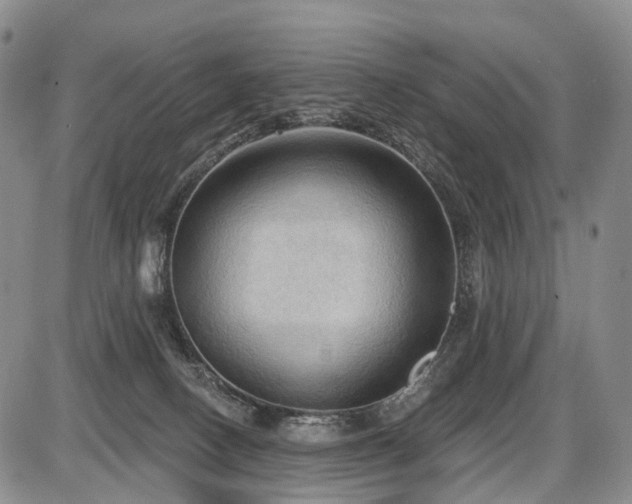 X0000087590082200704271318