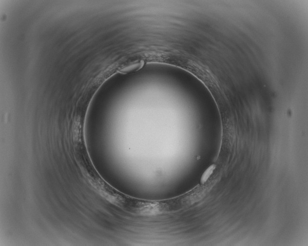 X0000087590083200704271318