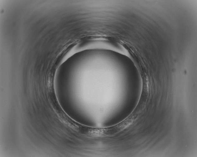 X0000087590084200704271318