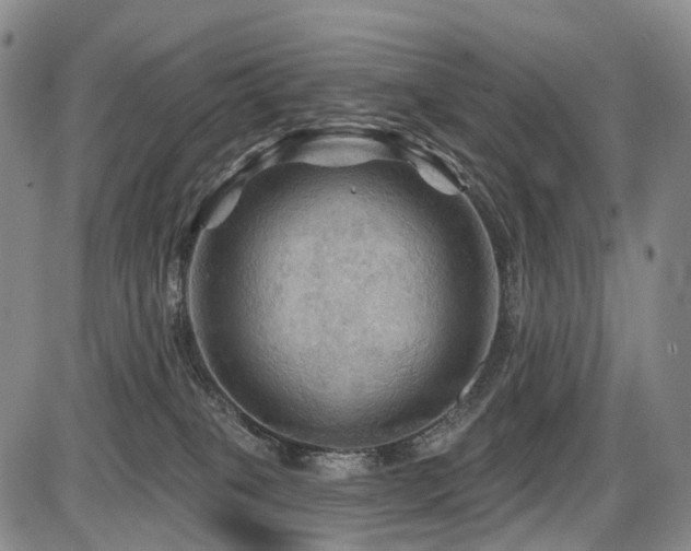 X0000087590085200704271318