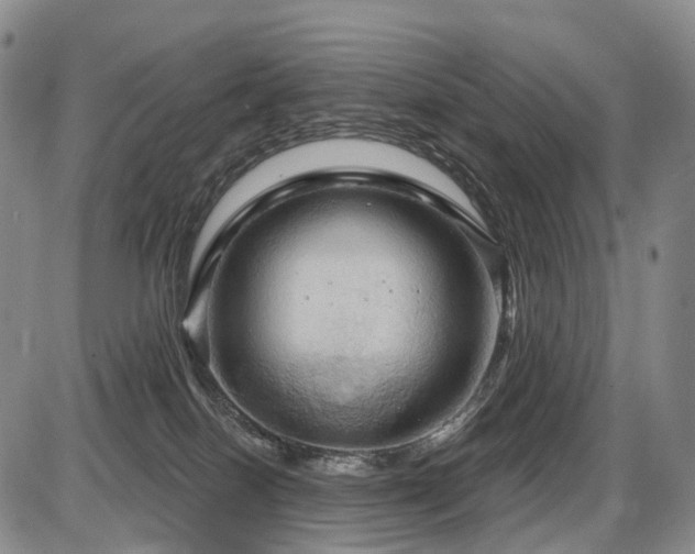 X0000087590086200704271318