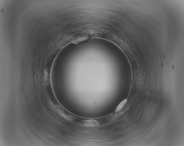 X0000087590087200704271318