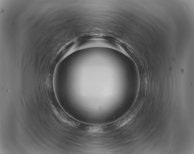 X0000087590088200704271318