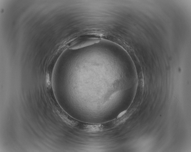 X0000087590089200704271318