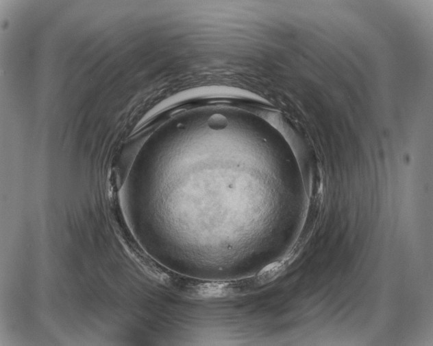 X0000087590090200704271318