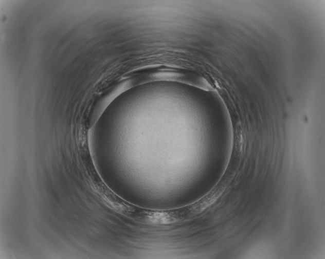 X0000087590091200704271318