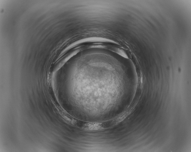 X0000087590093200704271318