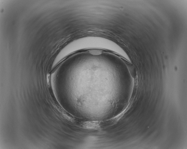 X0000087590094200704271318