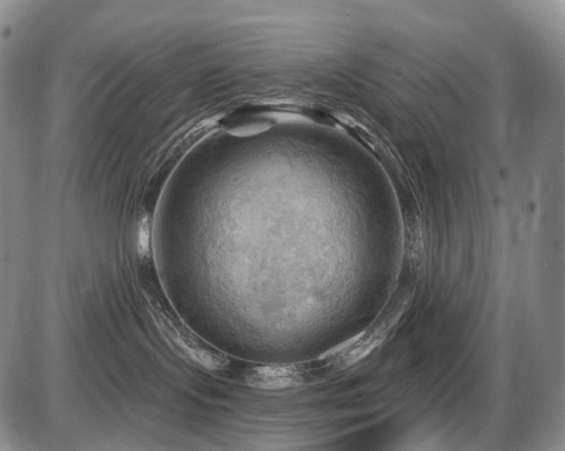 X0000087590095200704271318