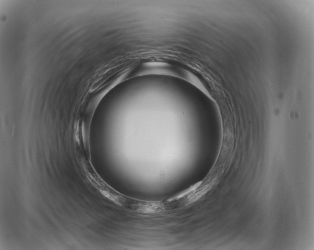 X0000087590096200704271318