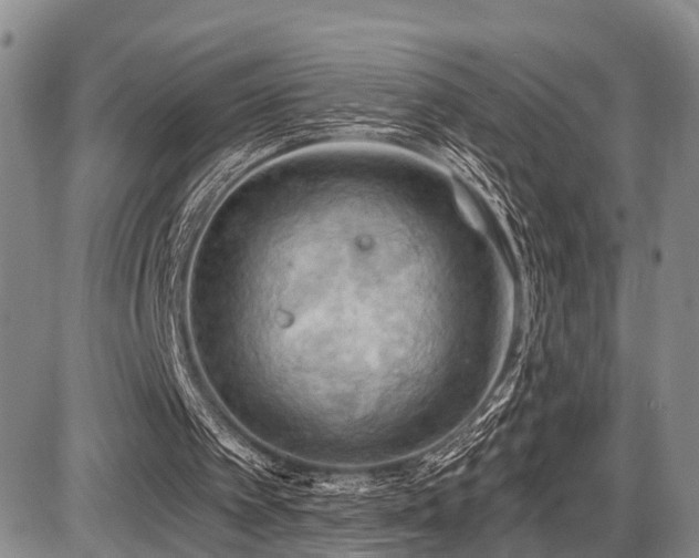 X0000087590097200704271317