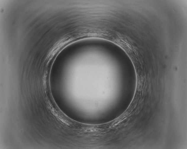 X0000087590098200704271317