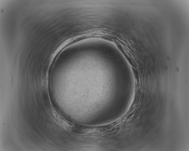 X0000087590100200704271317