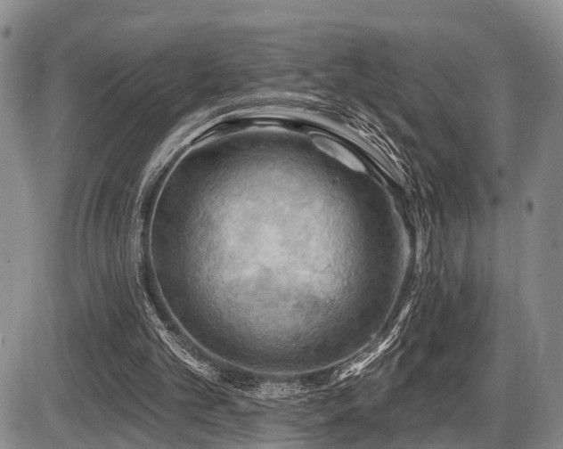 X0000087590101200704271317