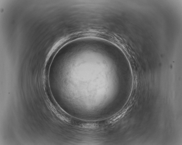 X0000087590102200704271317