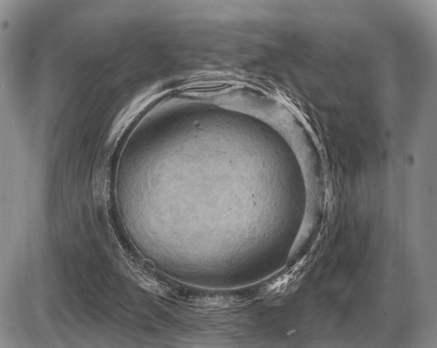 X0000087590103200704271317