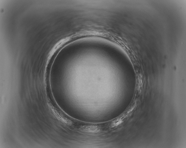 X0000087590104200704271317