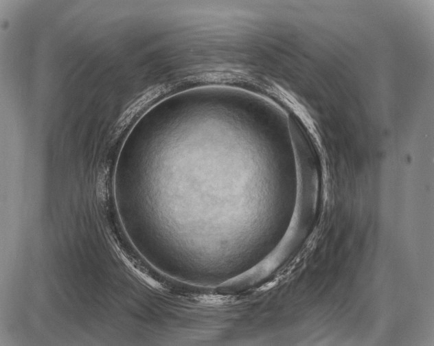 X0000087590105200704271317