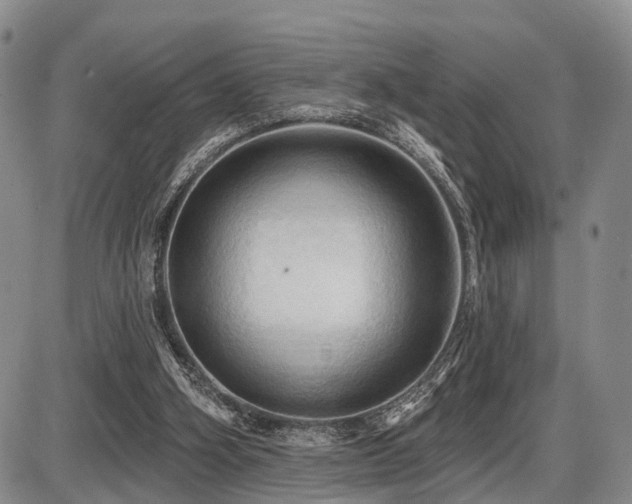 X0000087590106200704271317