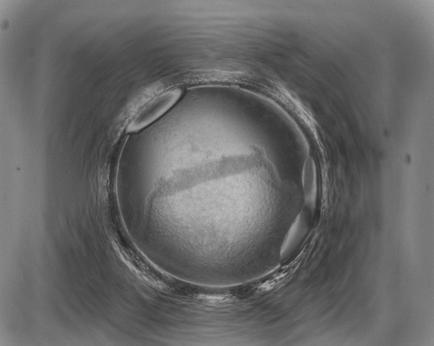 X0000087590107200704271317