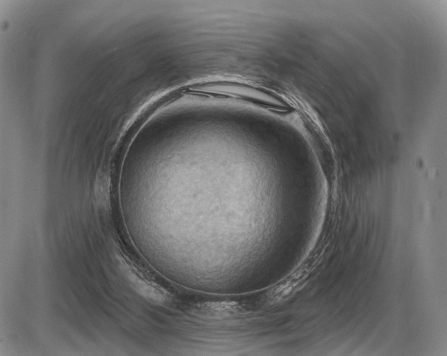 X0000087590108200704271317