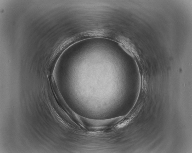 X0000087590109200704271317