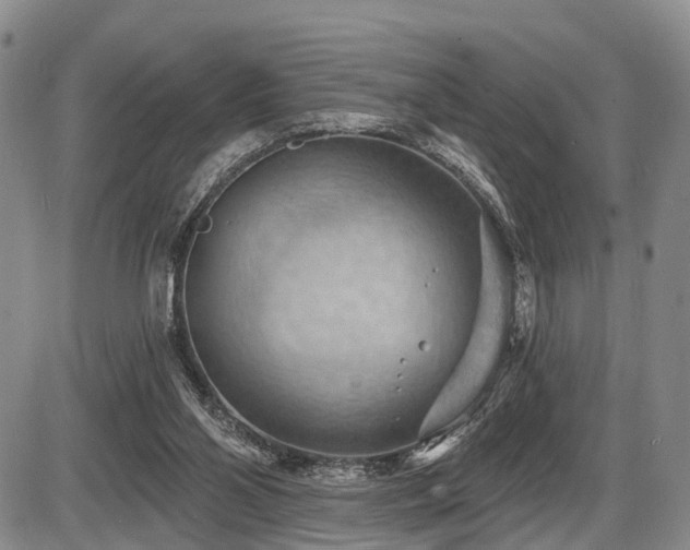 X0000087590110200704271317