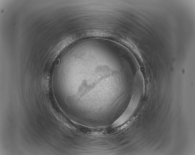 X0000087590111200704271317