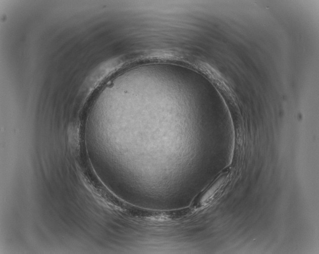 X0000087590112200704271317