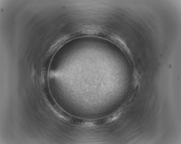 X0000087590114200704271317