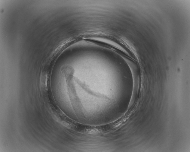 X0000087590115200704271317