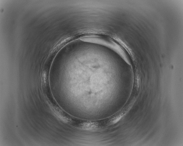 X0000087590117200704271317