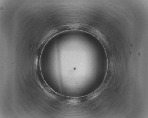 X0000087590118200704271317