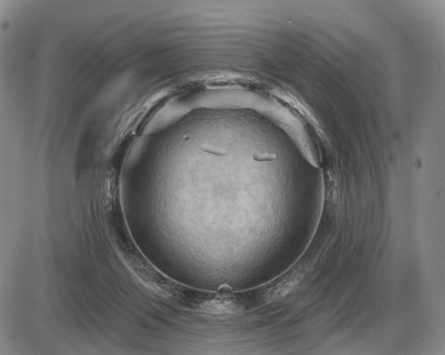 X0000087590119200704271317