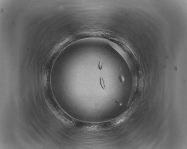 X0000087590120200704271317