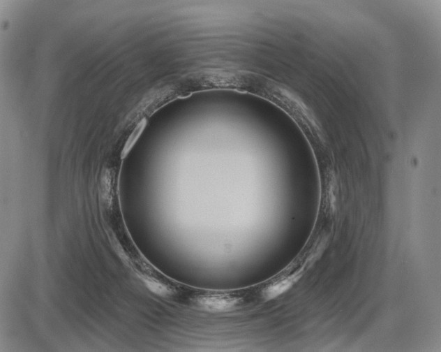 X0000087590121200704271317