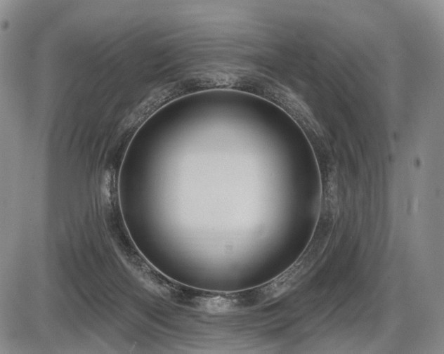 X0000087590122200704271317