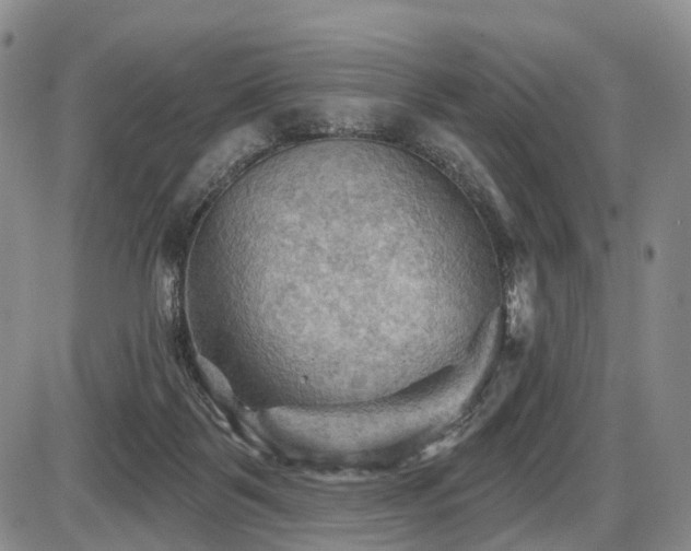 X0000087590123200704271317