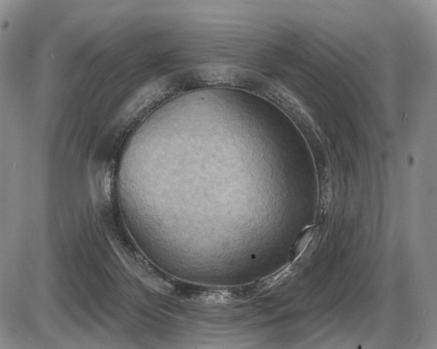 X0000087590124200704271317