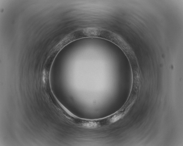 X0000087590125200704271317