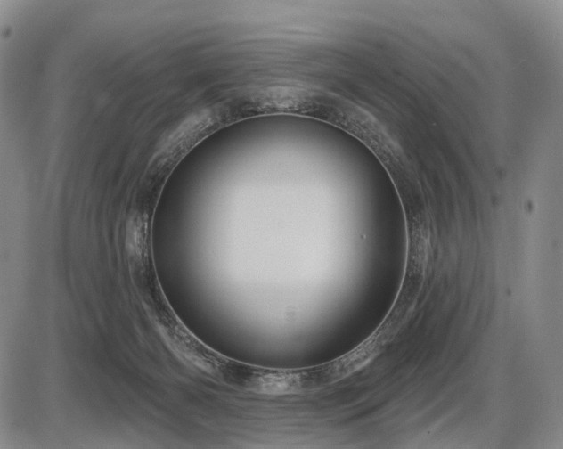 X0000087590126200704271317