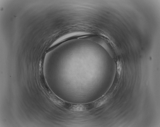 X0000087590127200704271317