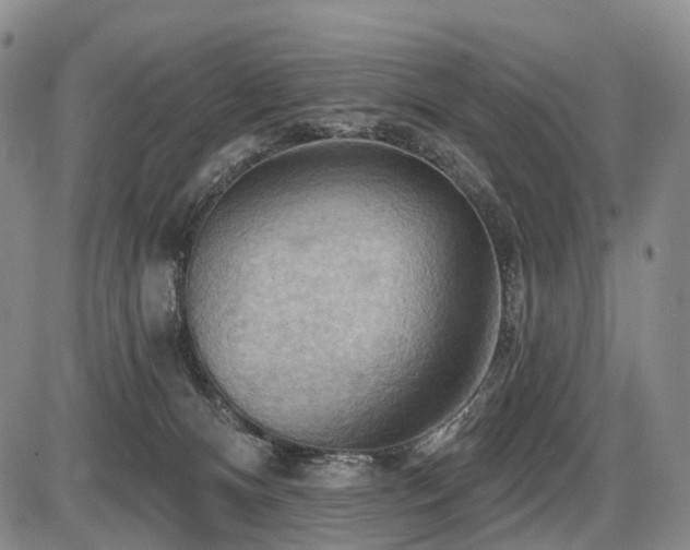 X0000087590128200704271317