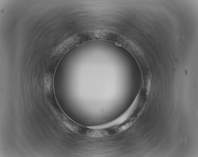 X0000087590129200704271317