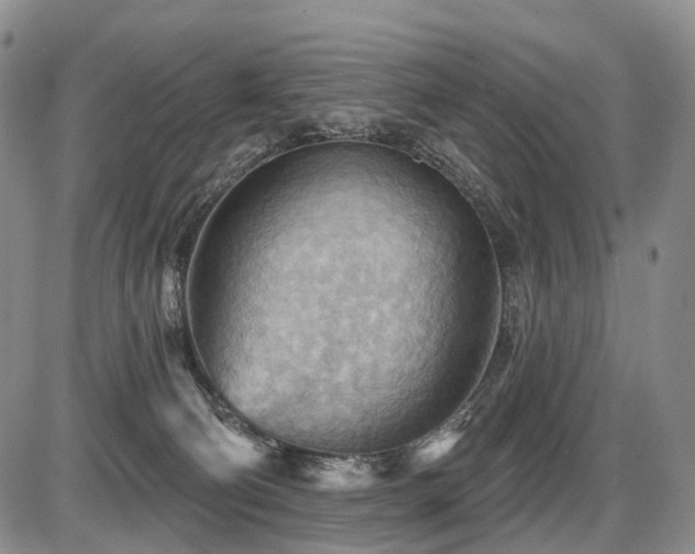 X0000087590130200704271317